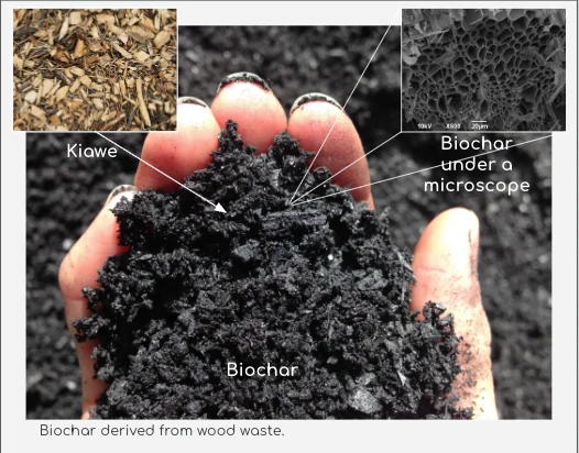 Kiawe biochar from Maui wood waste