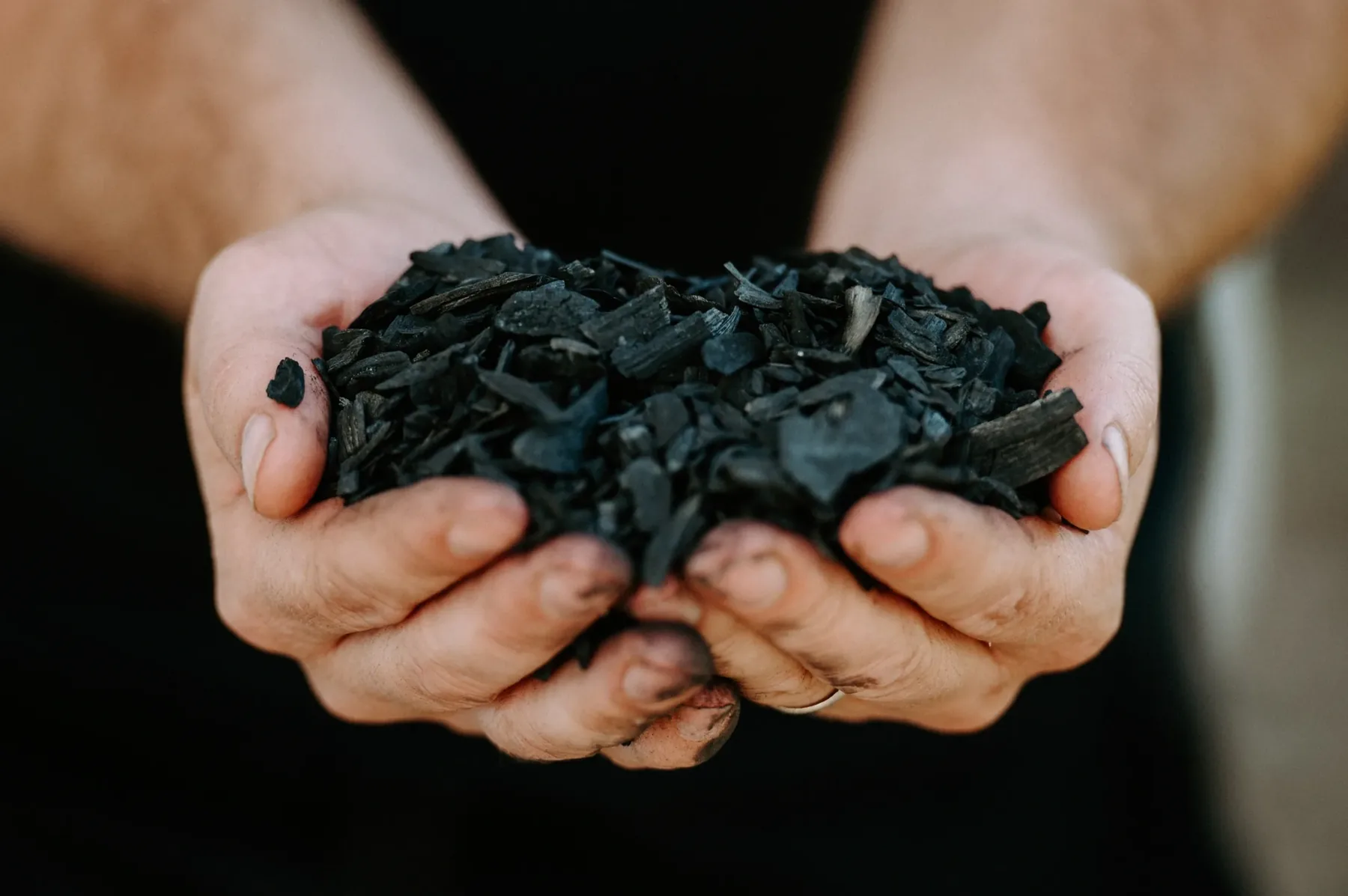 Biochar in hands